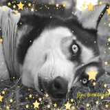 Foto van Jeanine :)