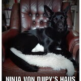 Foto van Alida