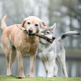 Foto van laura   Diva&Nova