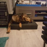 Foto van Rosanja
