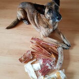 Foto van Dutchshepherdteam