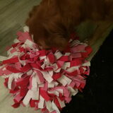 Foto van Sigrid, Sandy, Diva & Nala