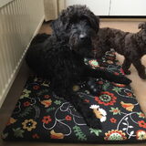 Foto van Maaike en Joep, Lizzy, Bam en Harry