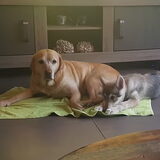 Foto van laura   Diva&Nova