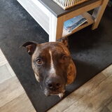 Foto van SaraE.