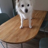 Foto van anja met Bobby(r.i.p. 25-9-25)