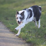 Foto van Angelique; Bruno, Charlie & Fenna