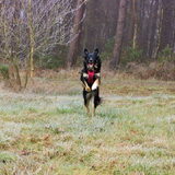 Foto van Team Black & White