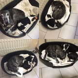 Die mand blijft kleiner worden!