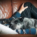 Foto van fabienne