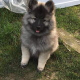 Foto van fabienne