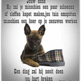 Foto van janet
