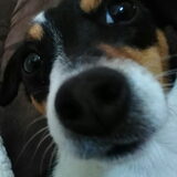 Foto van Kaatje en Hailey (Speedy† Tessa†)