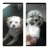 Foto van christel bumper en milo