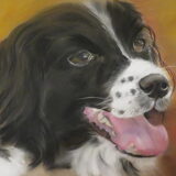de laatste pastel tekening van Famke ik had je zo lief. voor altijd in…