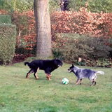 Foto van fabienne