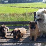 Foto van snuffelexpress