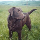dit is coco hij is(jaar)