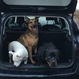 Foto van Poppy, Mila & Bibi