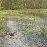 Heerlijk aan de wandel.