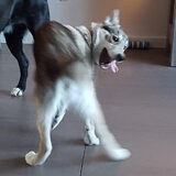 Foto van laura   Diva&Nova