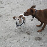 Spikey & Zohra