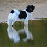Foto van Sandra, Ozzie (overleden) Iris en Zoë
