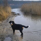 Hey baasje, mag ik door dat riet lopen want dat lijkt me nu toch wel…