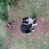 Foto van Angelique, Kleine Maybe en Tess <3