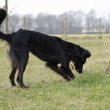 Foto van Naomi