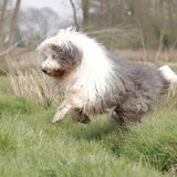 Foto van Naomi