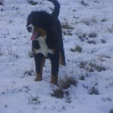 Deejay 5 Maand '