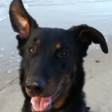 Foto van Ann