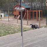 Foto van Jeanine :)