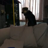 Foto van Darlien Cox