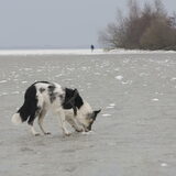 Foto van Angelique; Bruno, Charlie & Fenna