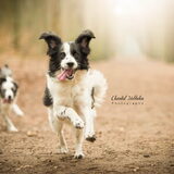 Foto van Angelique; Bruno, Charlie & Fenna