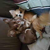 Foto van evelien