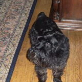 Dit is Shamal