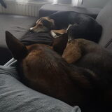 Foto van Rosanja