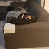 Foto van Rosanja