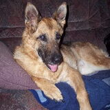 Dit is Celia. Ze werd geboren op 2 januari 1998 en overleed op 24 april…