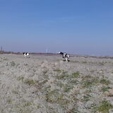 Foto van Angelique; Bruno, Charlie & Fenna