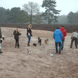 Foto van liesbeth,Turbo,Luna, Levi en Faith