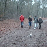 Foto van liesbeth,Turbo,Luna, Levi en Faith