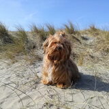 Foto van Xtine