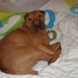 Foto van cindy