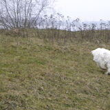 Kaily in de bocht haha