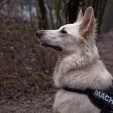 Foto van Hetty & Skipper