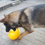 Foto van Rosanja
